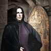 Harry Potter Severus paint by number