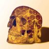 Honey Skull Head paint by number