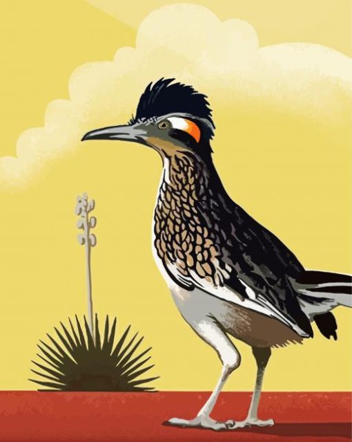 Illustration Roadrunner Bird paint by numbers