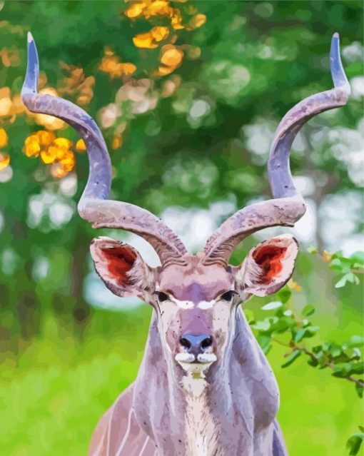 Kudu Animal paint by numbers