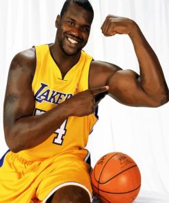 Lakers Shaquille paint by number