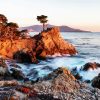 Lone Cypress Monterey California paint by numbers