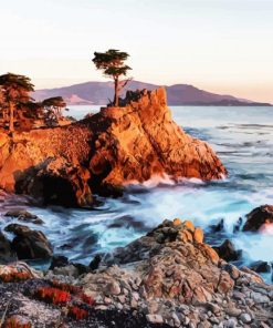 Lone Cypress Monterey California paint by numbers