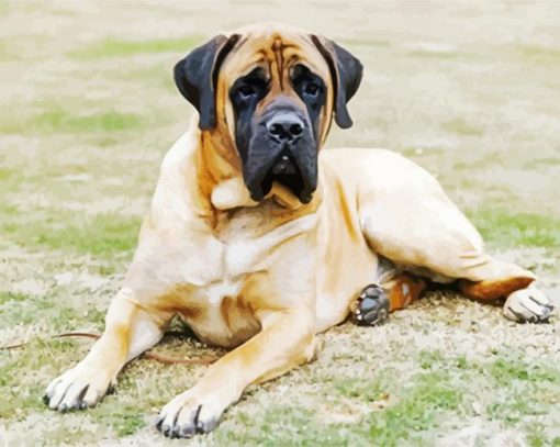 Mastiff Dog paint by number