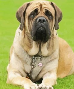 Mastiff paint by number