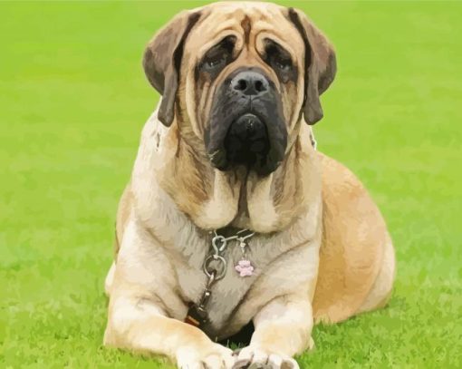 Mastiff paint by number