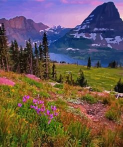 Montana Nature Scene paint by numbers