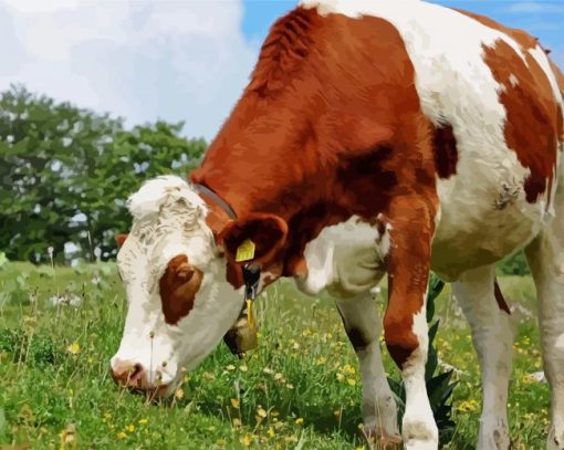 Montbeliarde Eating Grass paint by numbers