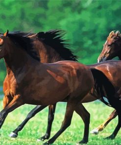 Morgan Horse Herd paint by number