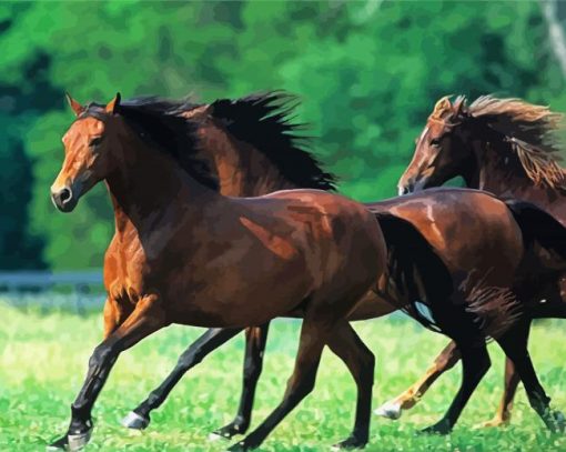 Morgan Horse Herd paint by number