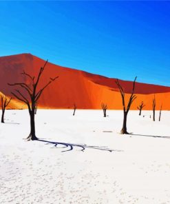 Nambia Desert paint by numbers