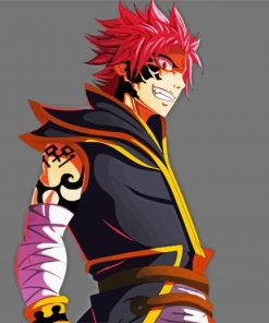 Natsu Dragneel Fairy Tail Anime paint by numbers