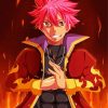 Natsu Fairy Tail Anime paint by numbers