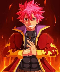 Natsu Fairy Tail Anime paint by numbers