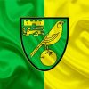 Norwich City Football Club Logo paint by numbers