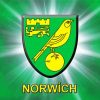 Norwich Logo paint by numbers