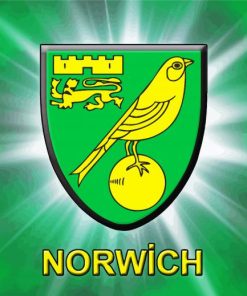 Norwich Logo paint by numbers