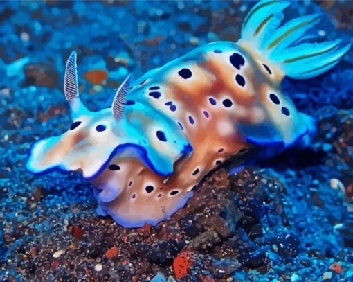 Nudibranch paint by numbers