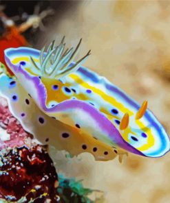 Nudibranch paint by number