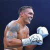 Oleksandr Usyk paint by number