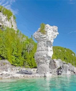 Ontario Flowerpot Island paint by number