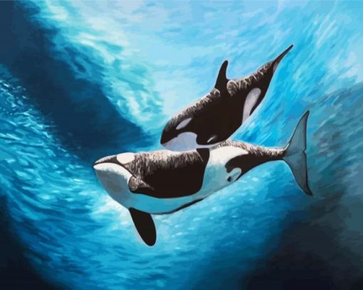 Orca Underwater paint by number