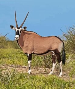 Oryx Animal paint by numbers