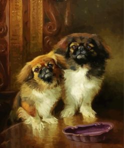 Pekingese Dogs paint by number