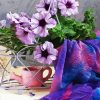 Petunia Flowering Plants paint by number