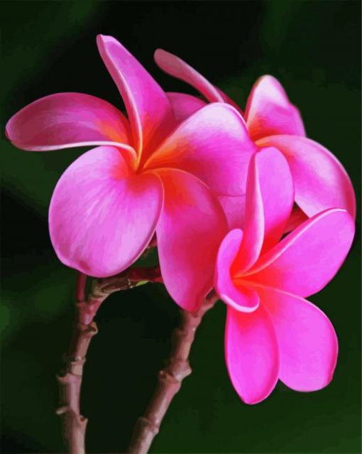 Pink Plumeria paint by number