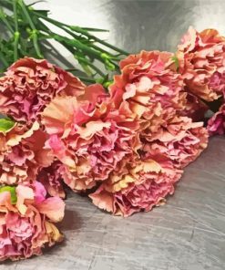 Pink Carnations Bouquet paint by number