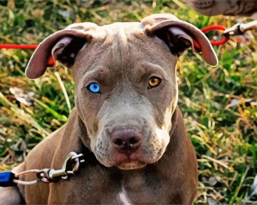 Pitbull With Unique Eye paint by number