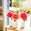 Pivoines Vases paint by number