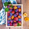 Plums Fruit paint by number