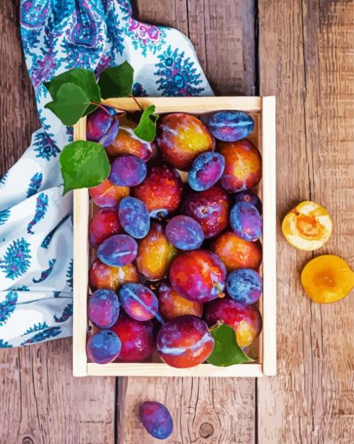 Plums Fruit paint by number