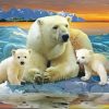 Polar Bear Family paint by number