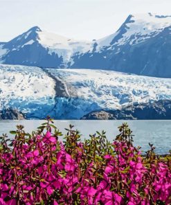 Portage Glacier Alaska paint by number