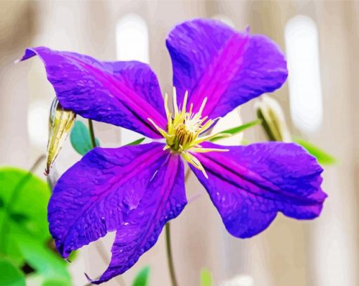 Purple Clematis paint by number