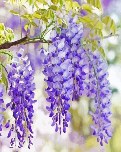 Purple Wisteria Flower paint by number