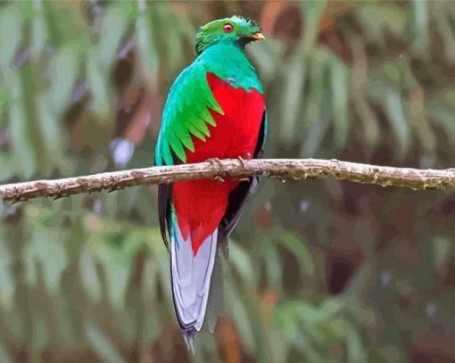 Quetzal Bird paint by numbers