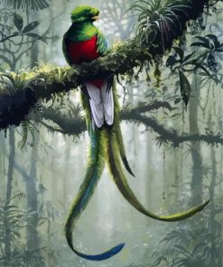 Quetzal Art paint by number