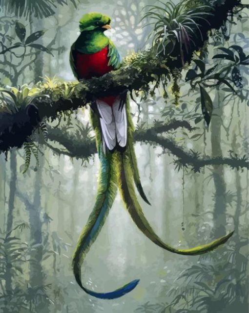 Quetzal Art paint by number