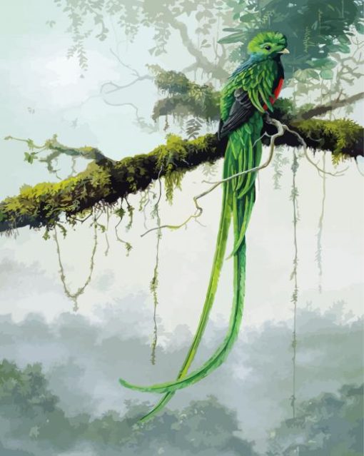 Quetzal Bird Art paint by number