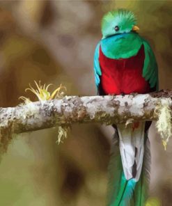 Quetzal Bird On A Branch paint by number