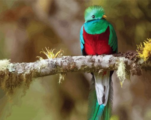 Quetzal Bird On A Branch paint by number