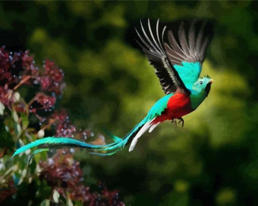 Quetzal Flying Bird paint by number