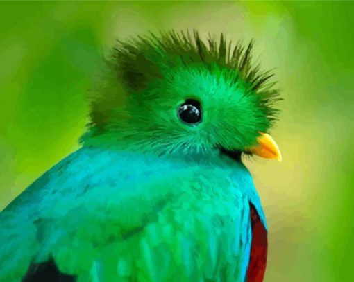 Quetzal Head paint by number