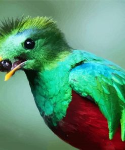 Quetzal Bird Eating paint by numbers