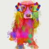 Rainbow Splash Cocker Spaniel paint by number