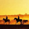 Ranching Silhouette paint by numbers